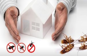 5 Advantages of Pest Control and Why You Can Not Ignore This