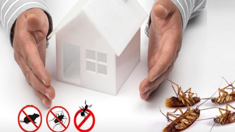 5 Advantages of Pest Control and Why You Can Not Ignore This