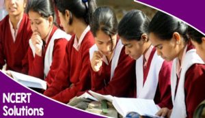 Benefits of studying NCERT Solutions during Examination
