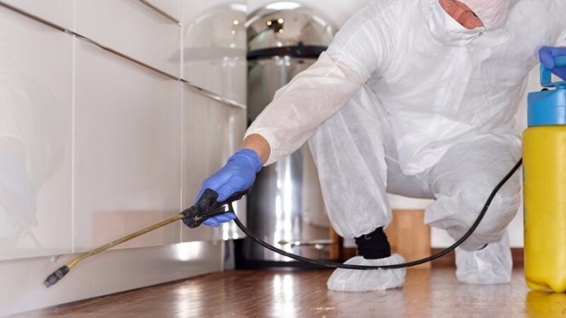 Reasons To Hire Home Cleaning Services In The Response To Covid Pandemic