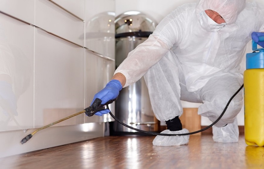 Reasons To Hire Home Cleaning Services In The Response To Covid Pandemic