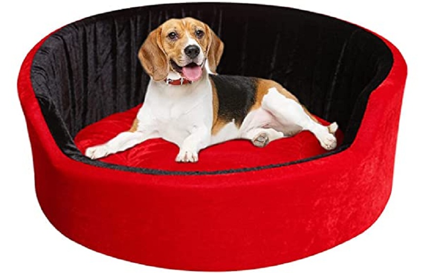 The Most Beloved Dog Beds Products, According to Reviewers