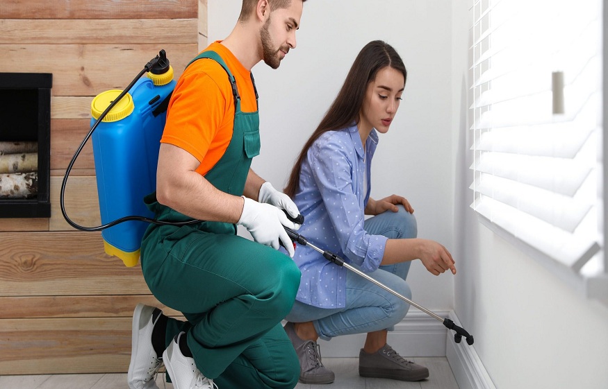 Why Hire Professional Pest Control Services?