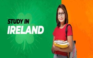 study consultants for Ireland!